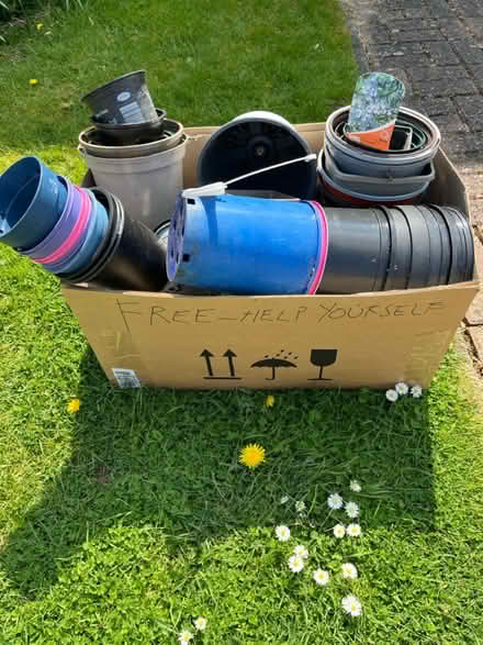 Photo of free Plant pots (Broomfield CM1) #1