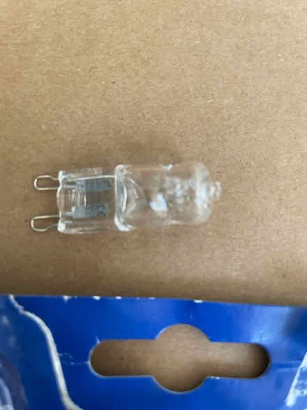 Photo of free Small halogen bulbs (OX4 3) #2