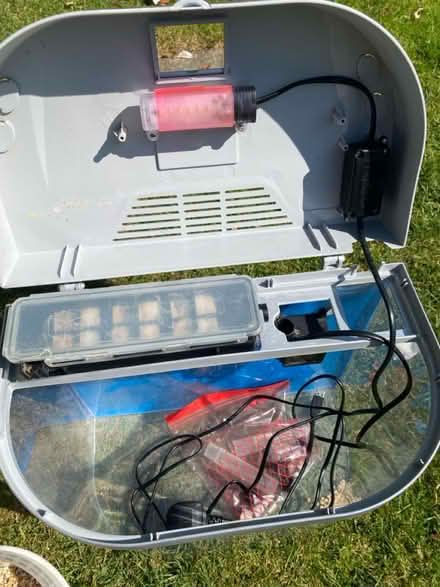 Photo of free Plastic fish tank (Waterlooville PO7) #2
