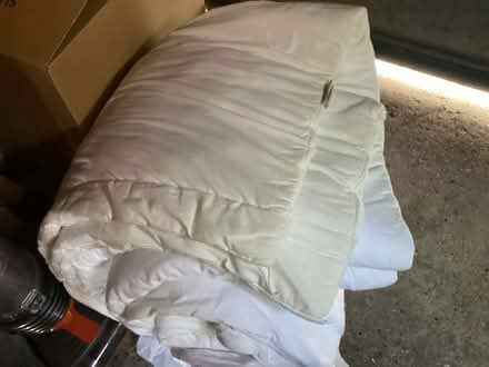 Photo of free Old duvet ( pet bedding?) (RH10 Pound Hill) #1