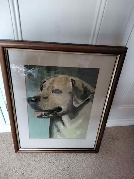 Photo of free Golden Labrador framed tapestry (Franche DY11) #1