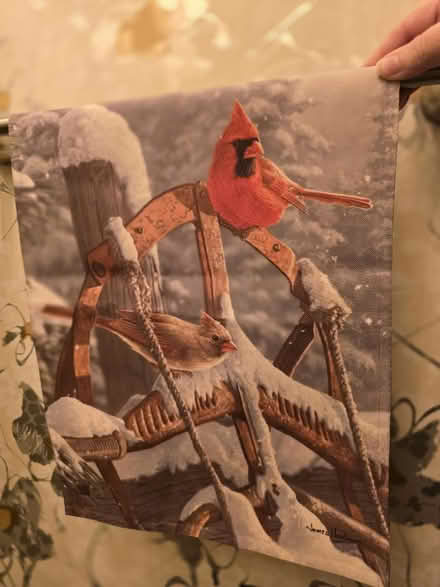 Photo of free Garden flags (Wards Corner) #1