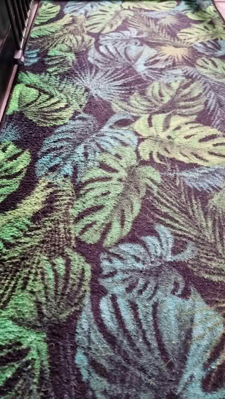 Photo of free Long hall rug (Scotstounhill G14) #2