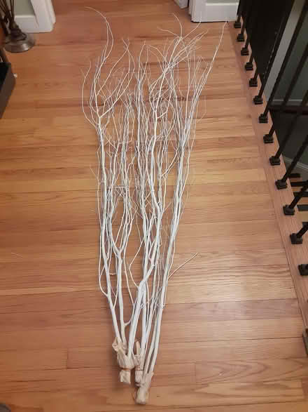 Photo of free Decorative branches (near Princeton airport) #1