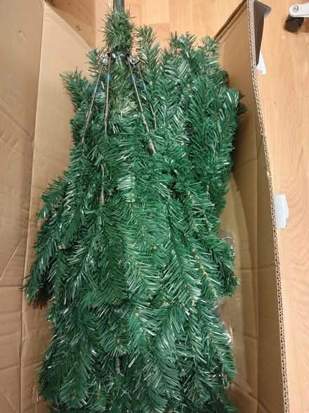 Photo of free lush green 1.8m Xmas tree (HA1) #1