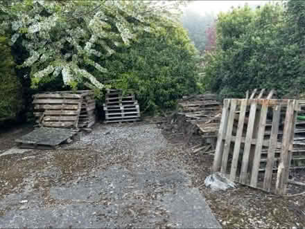 Photo of free pallets for firewood (PE12) #1