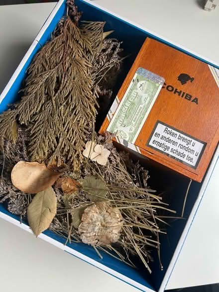 Photo of free Herbarium, dried leaves and sticks (Wimbledon, SW19) #2