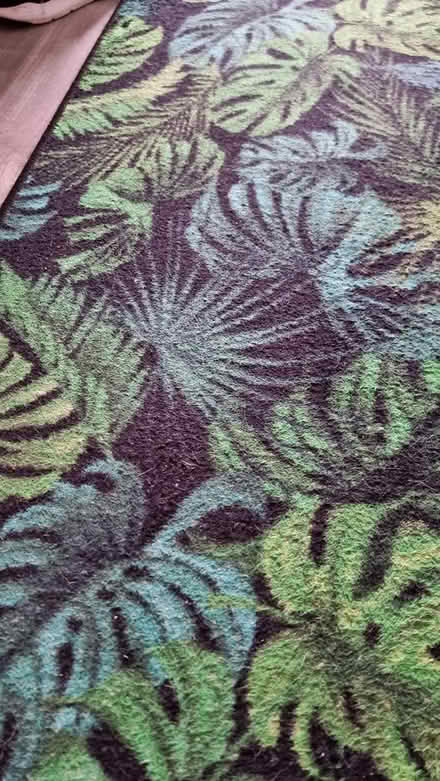 Photo of free Long hall rug (Scotstounhill G14) #3