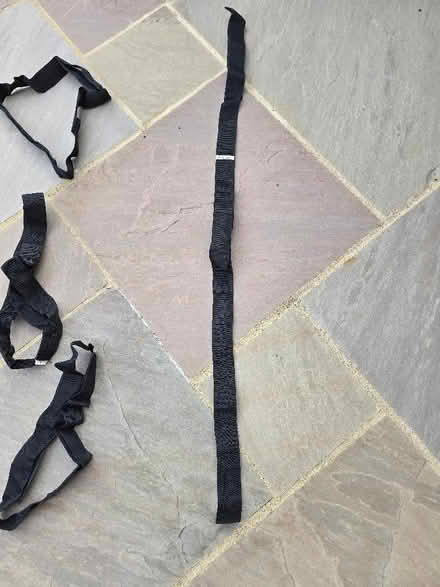 Photo of free Straps with velcro (Panshanger AL7) #3