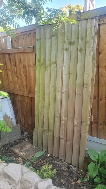 Photo of free Garden fence panels (CM2 Chelmer Village) #1