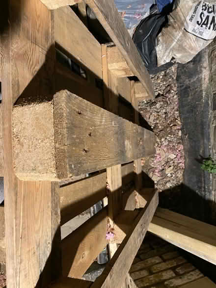 Photo of free Wooden pallet (SW2 - Brixton) #3