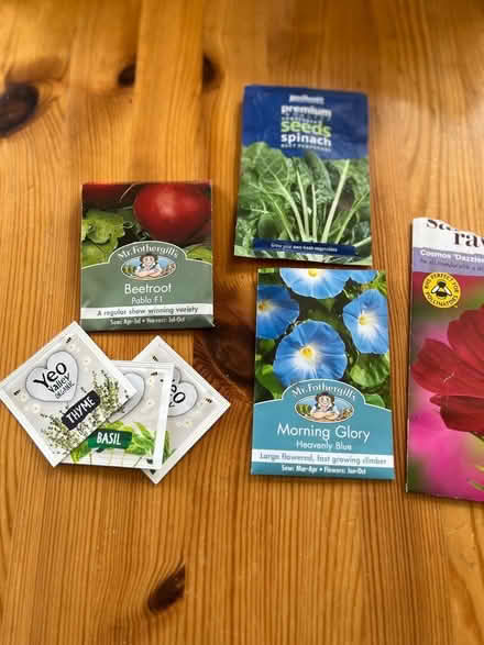 Photo of free ALLOTMENT HOLDERS cardboard and seeds (Hoddesdon EN11) #4