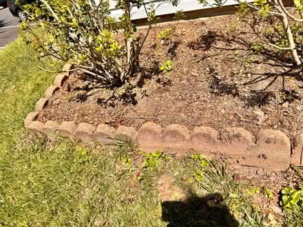 Photo of free Garden edging (Crofton) #2
