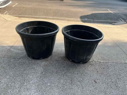 Photo of free Planting pots (NW6 3QT) #1