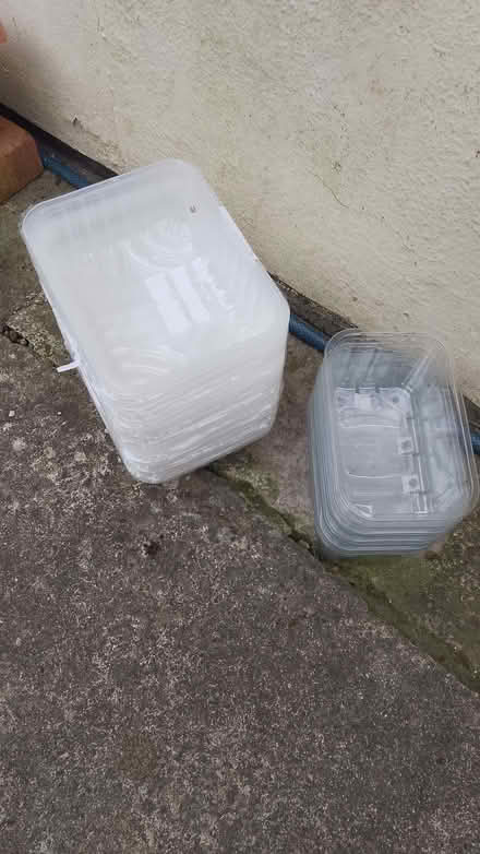 Photo of free plastic trays (Frome BA11) #1
