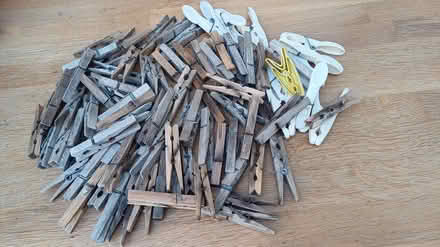 Photo of free Bag of pegs (surbiton KT6) #1