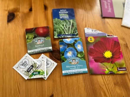 Photo of free ALLOTMENT HOLDERS cardboard and seeds (Hoddesdon EN11) #3