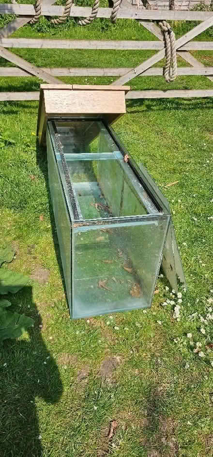 Photo of free Aquarium with lid (Very large) (Brent Pelham SG9) #2