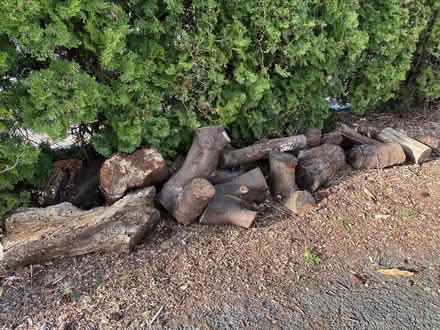 Photo of free Firewood (Shoreline) #1