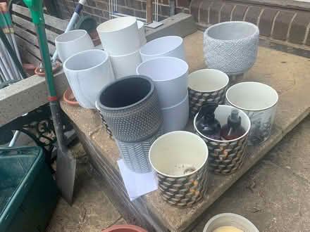 Photo of free Flower Potts 13x13cm (Bermondsey SE1 5HP) #1