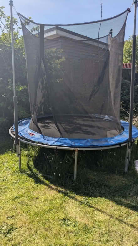 Photo of free Trampoline (Ketley Bank TF2) #1