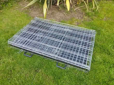 Photo of free Large dog crate (Wollaton NG8) #2