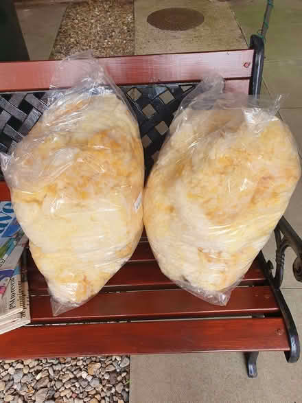 Photo of free Foam stuffing (Pickering YO18) #1
