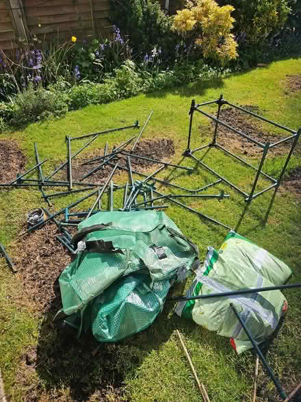 Photo of free Walk in plastic greenhouse (CV2 - Henley Green) #3