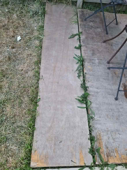 Photo of free Fire wood old wood large (Reddish SK5) #2
