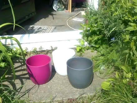 Photo of free three pots/vases (Bedwell SG1) #1