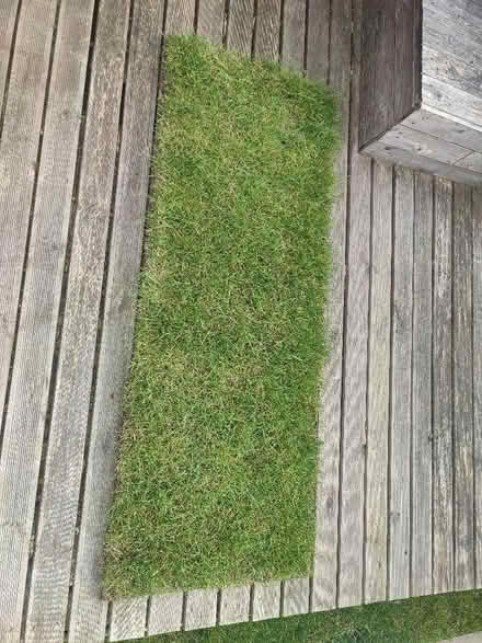 Photo of free 1 roll of grass (Rhosllanerchrugog LL14) #1