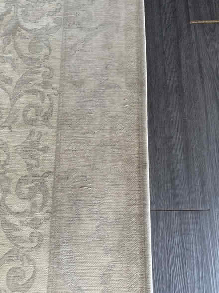 Photo of free Dorma cream floor rug (Sutton Bridge) #2