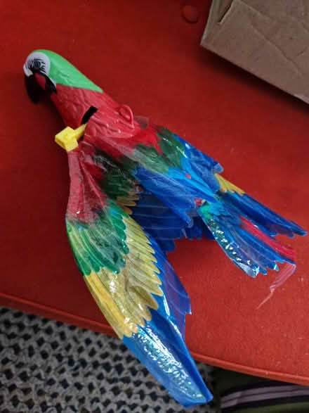 Photo of free Flapping parrot (BN2) #1