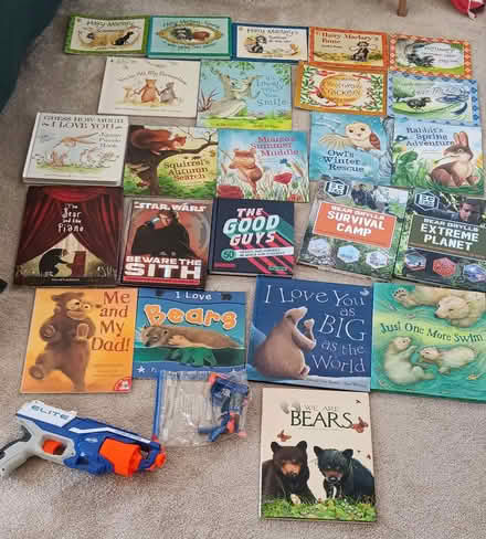 Photo of free children's/teenager/young persons books and a Nerf gun (Bussage GL6) #1