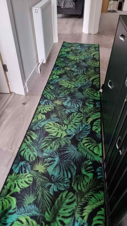 Photo of free Long hall rug (Scotstounhill G14) #1