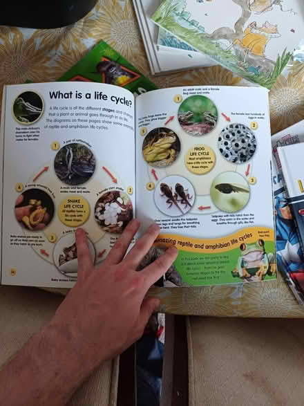 Photo of free Children's books (GL4) #4