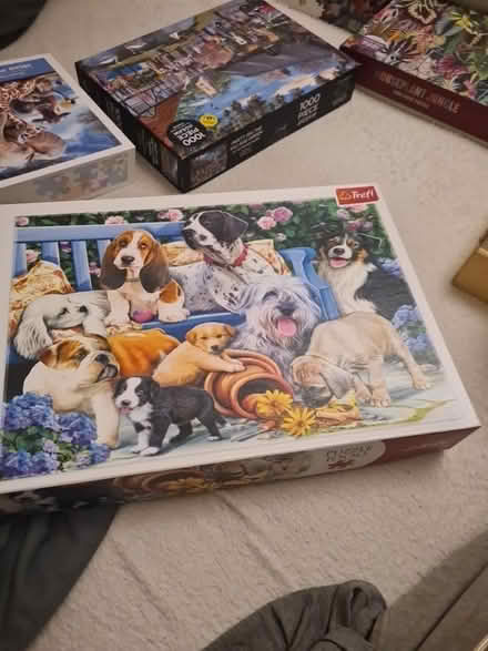 Photo of free Jigsaw Puzzels Bundle x8 Falcon etc (TW7) #2