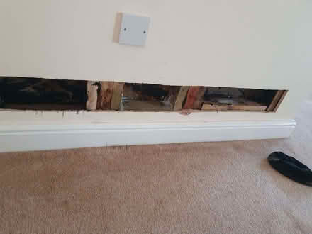 Photo of Offcut of plasterboard (Sporle PE32) #1