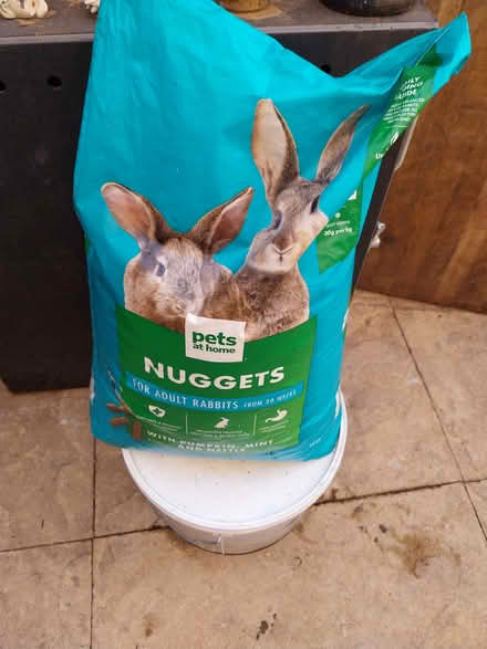 Photo of free Rabbit food (Kidderminster dy11) #1