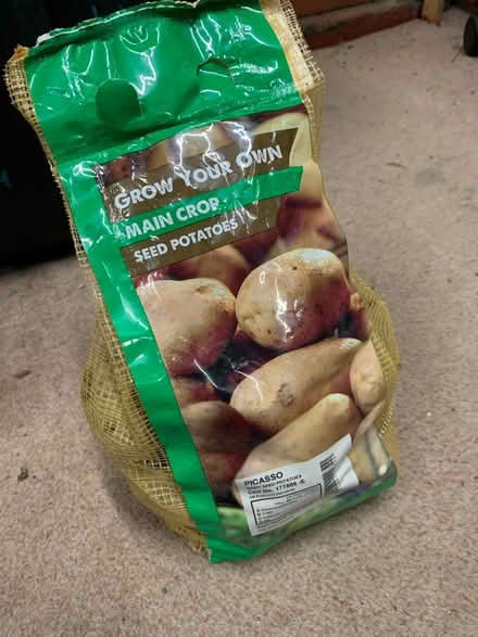 Photo of free Seed potatoes (Broompark) #1