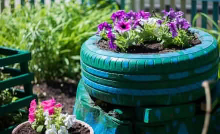 Photo of Interesting planters (New Brighton, CH45) #4