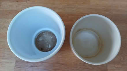 Photo of free Two indoor pots for plants (surbiton KT6) #2