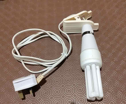 Photo of free Inspection lamp (Iffley OX4) #1