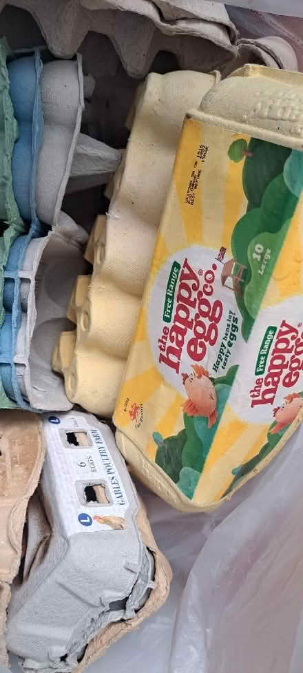 Photo of free Large bag egg boxes (Churchgate EN8) #1