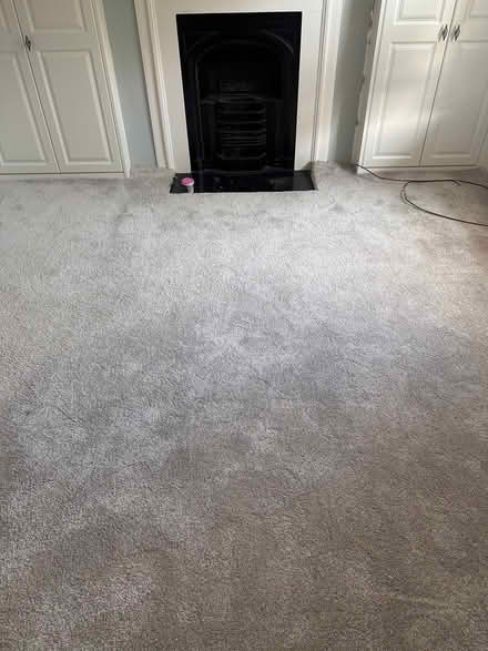 Photo of free plush grey carpet 13ft x 11 ft (approx) (Charlton SE18) #1