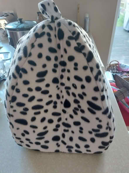 Photo of free Cat cosy basket (Charlton OX12) #2