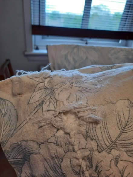 Photo of free Curtains (Craigleith EH4) #2