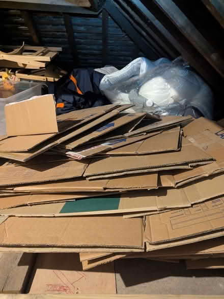 Photo of free 23 x cardboard boxes (E17) #1