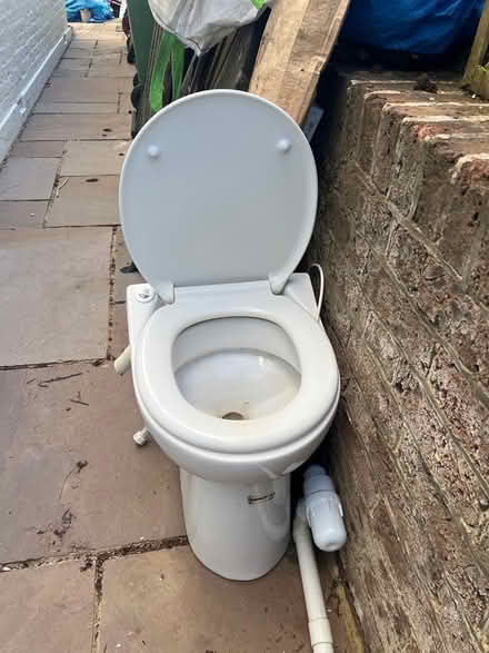 Photo of free Saniflo toilet (TN37 near Asda) #1