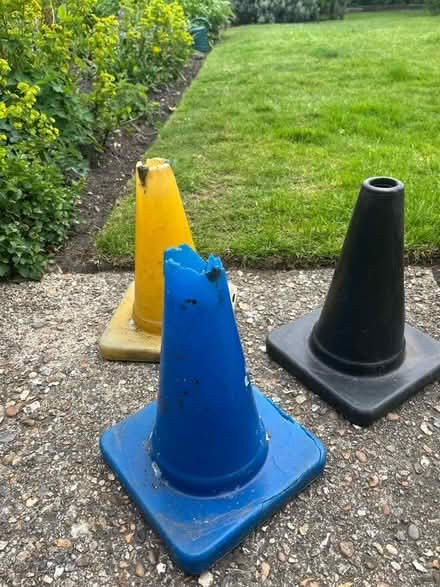 Photo of free Small cones (Winkfield Row RG42) #1